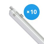 Mehrfachpackung 10x Philips LED Feuchtraumleuchte CoreLine WT120C 42.9W 6000lm - 840  | 150cm