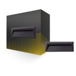 Applique Murale Chester PC Anthracite 2W 100lm - 840 Blanc Froid 